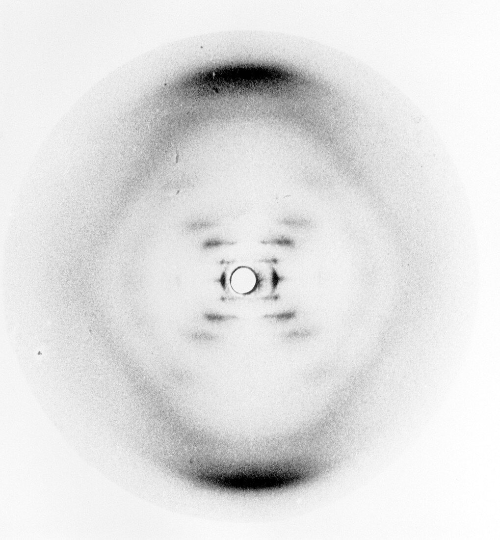 DNA discovery,X-ray diffraction,1952