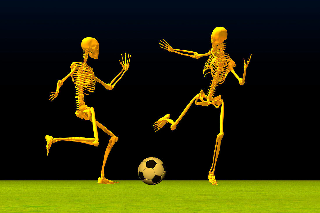 Skeletons Playing Football,illustration