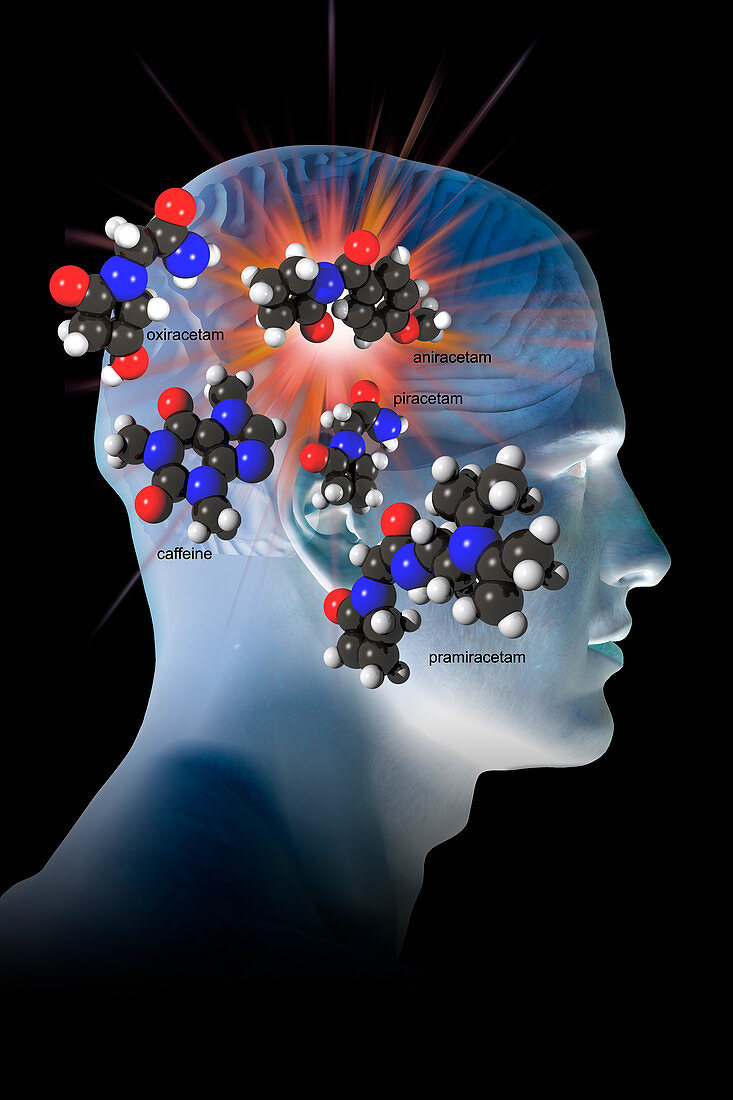 Brain-Enhancing Supplements