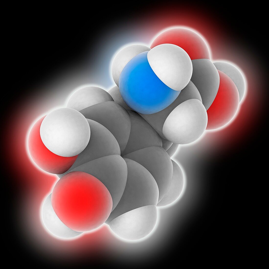 Levodopa drug molecule