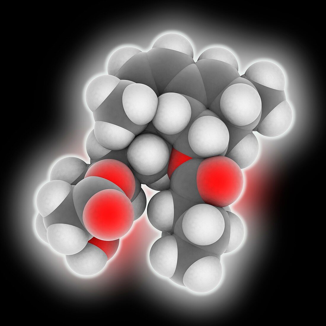 Lovastatin drug molecule