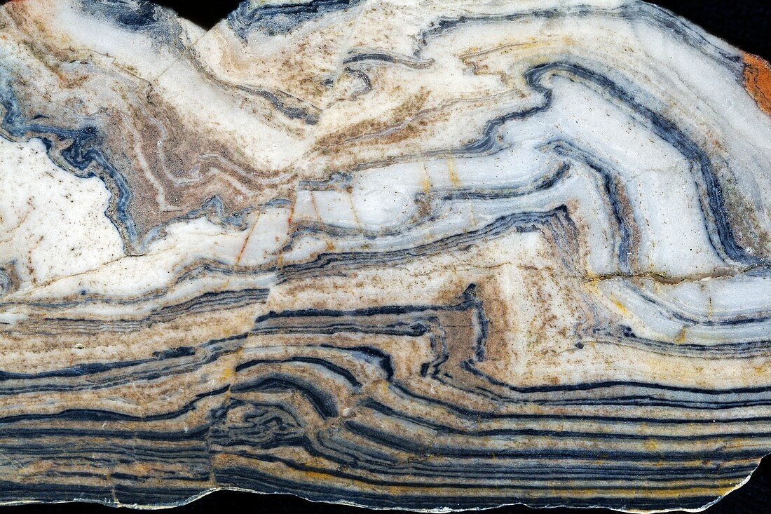 Microstructures in gneiss