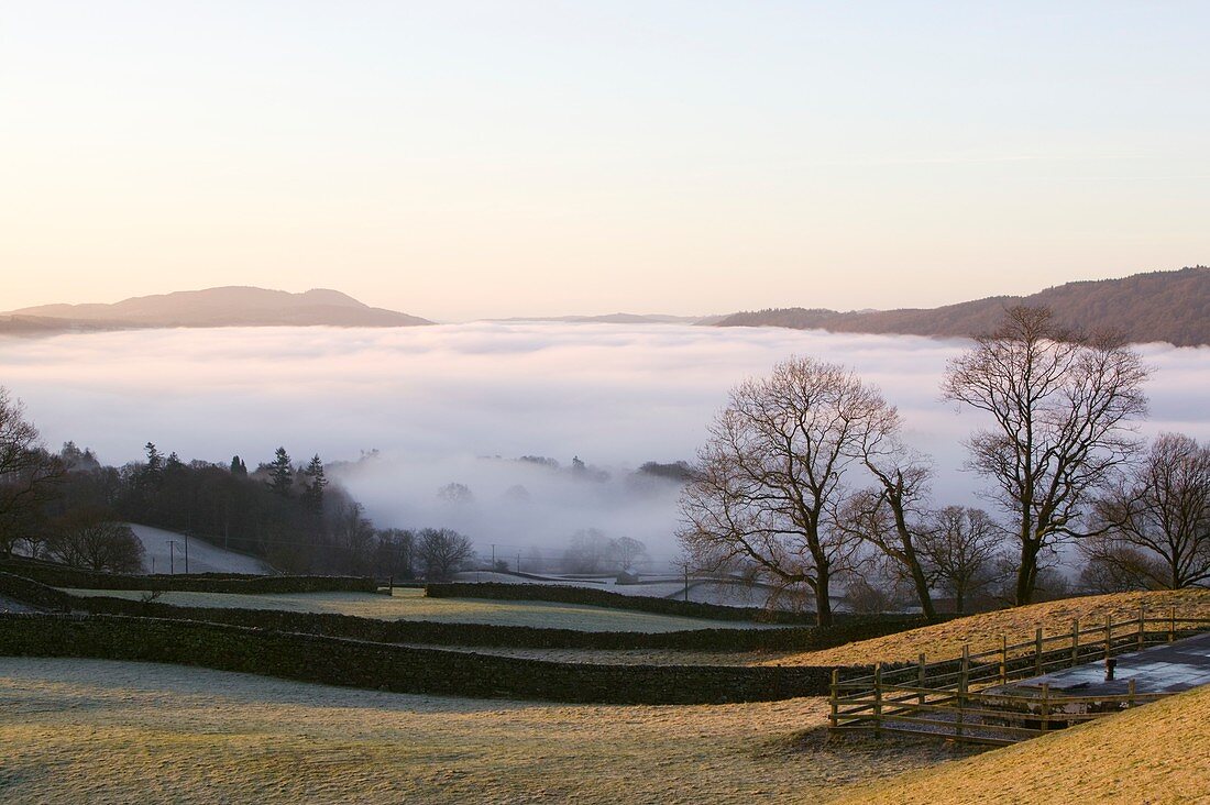 Valley mist over Windermere at dawn,UK