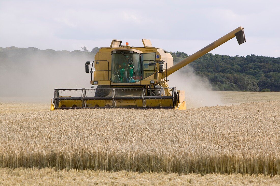 A combine harvester in Weybourne,UK