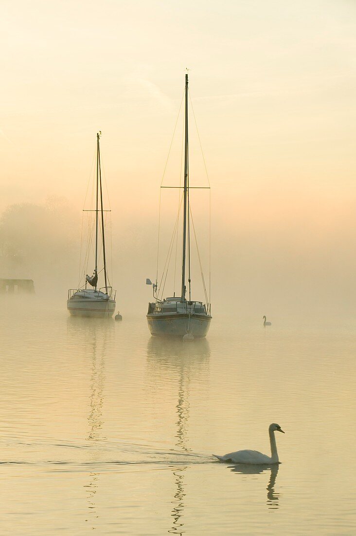 A misty morning over Lake Windermere,UK