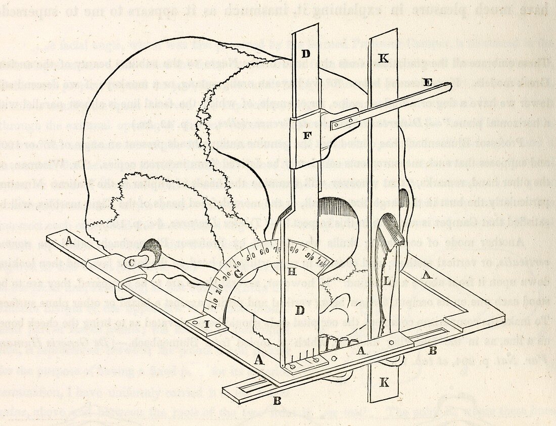 Facial goniometer,19th century