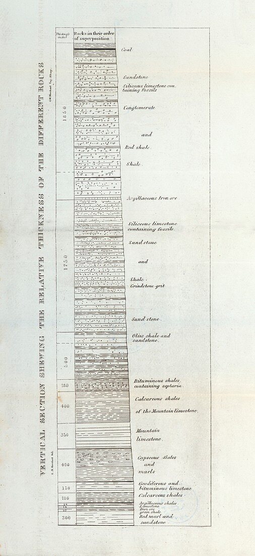 Rock strata diagram,1838