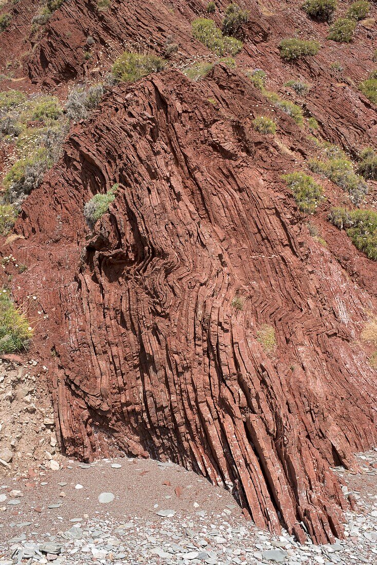 Vertically Inclined Sandstone Strata