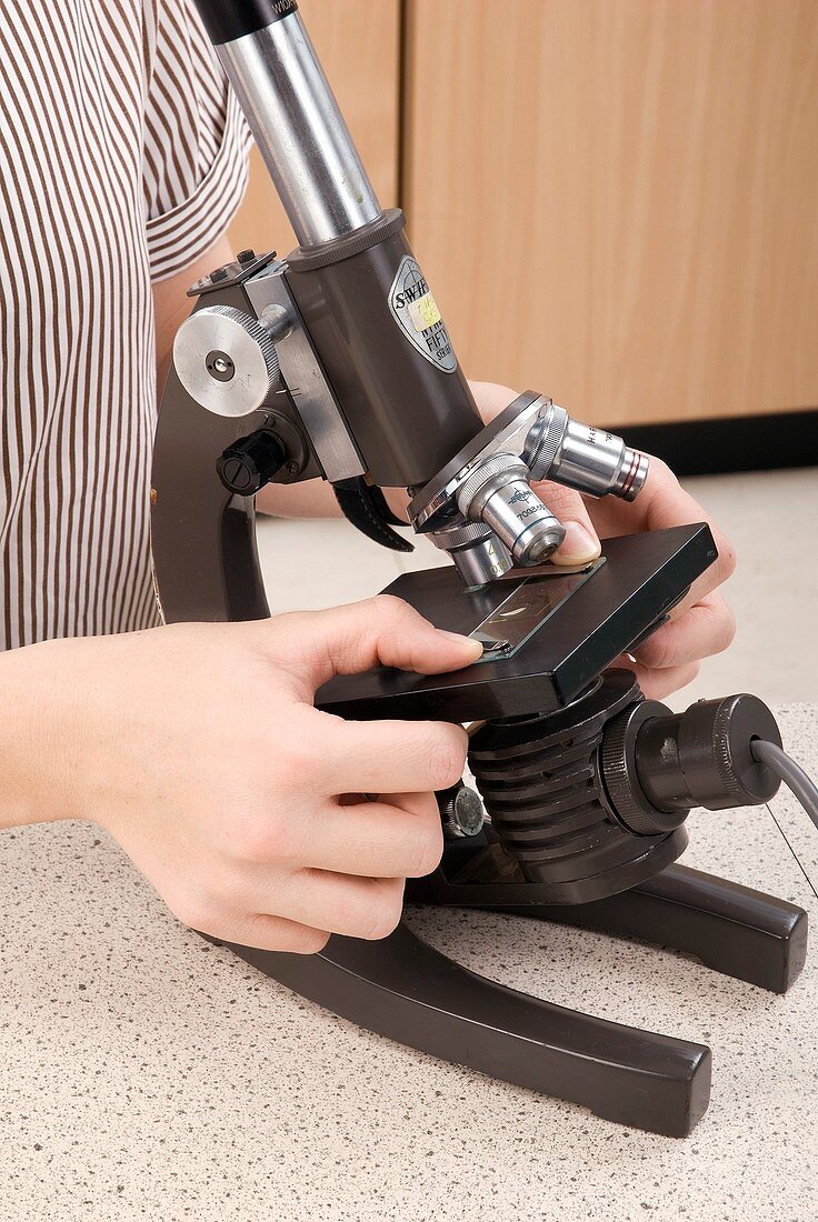 Setting up a microscope