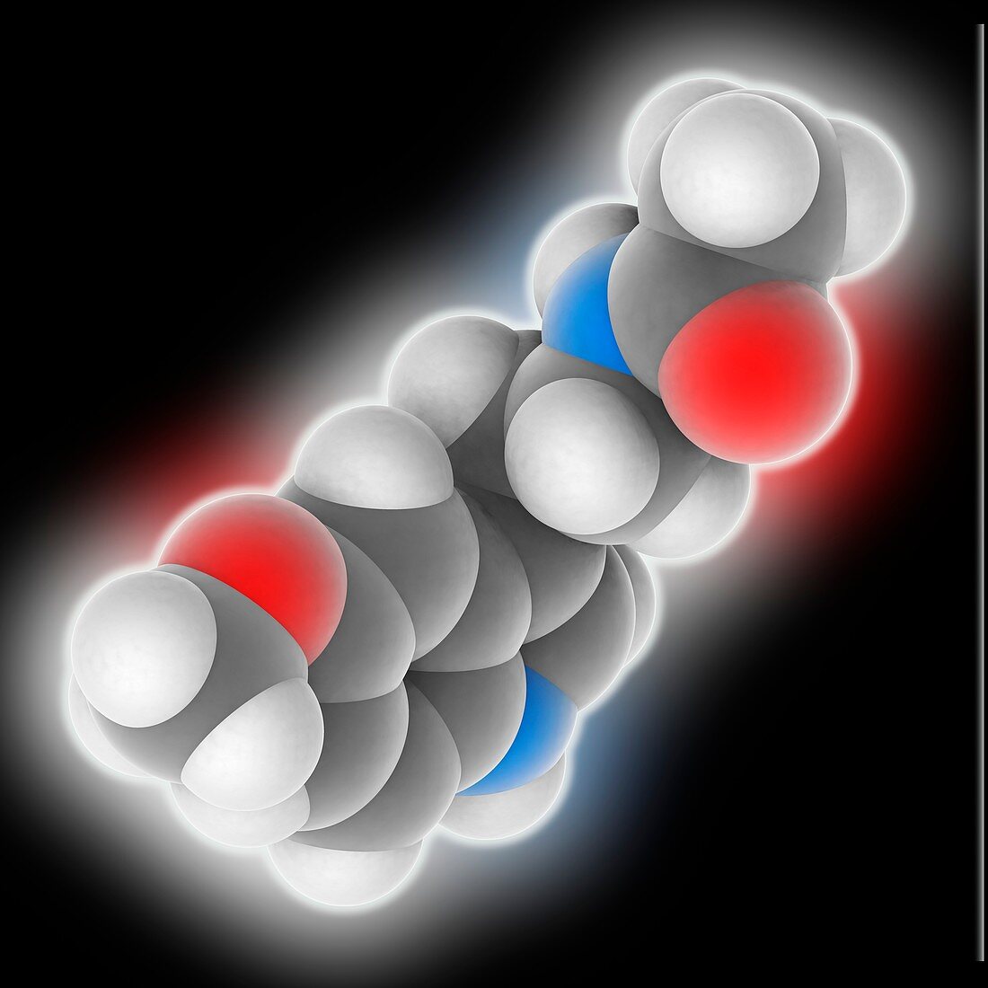 Melatonin molecule