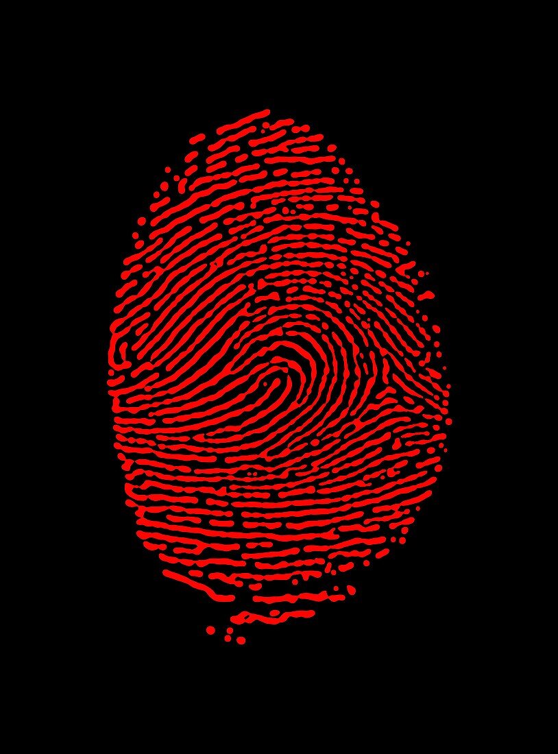 Red fingerprint
