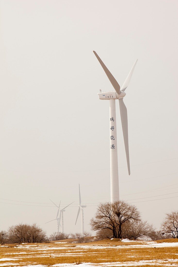 Wind farm,China