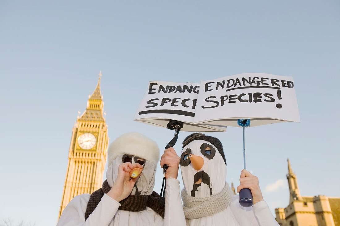 Protestors at a climate change rally