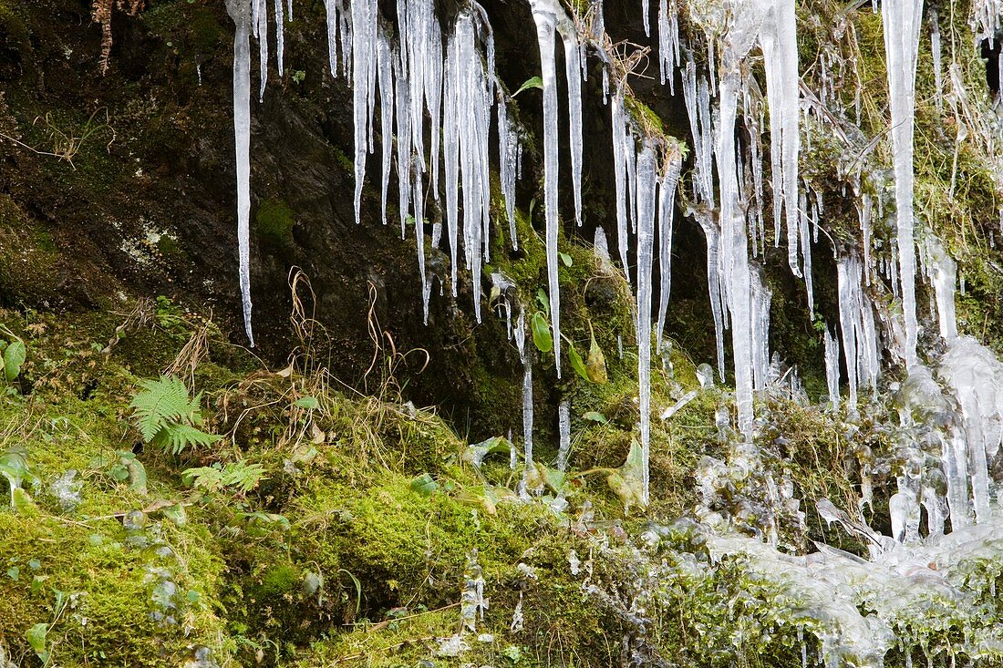 Icicles at Tilberthwaite