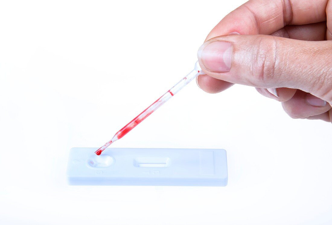 Home blood test kit
