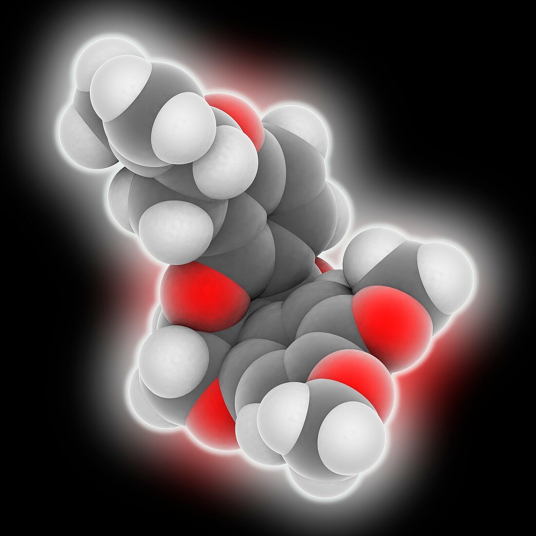Rotenone molecule