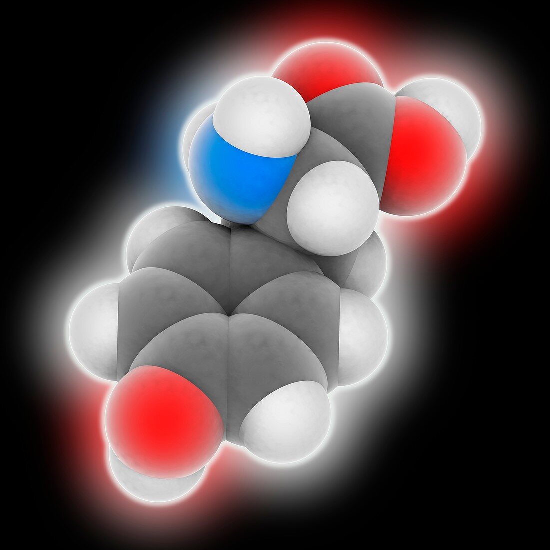Tyrosine molecule