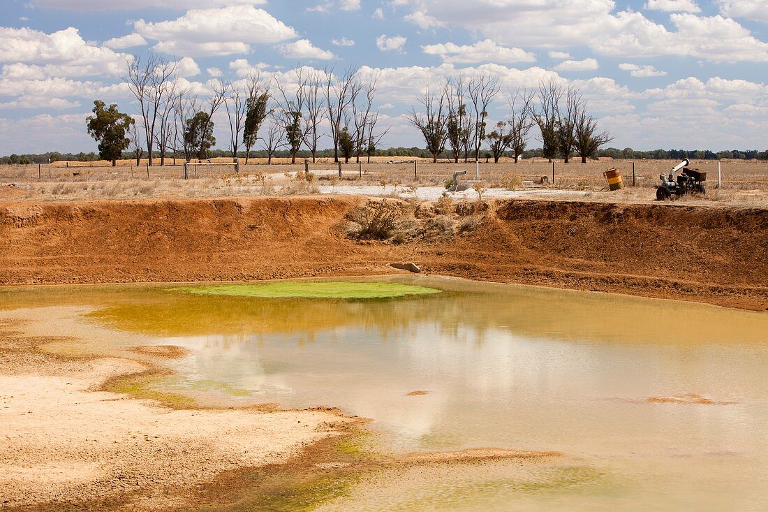 Farmer's watering hole