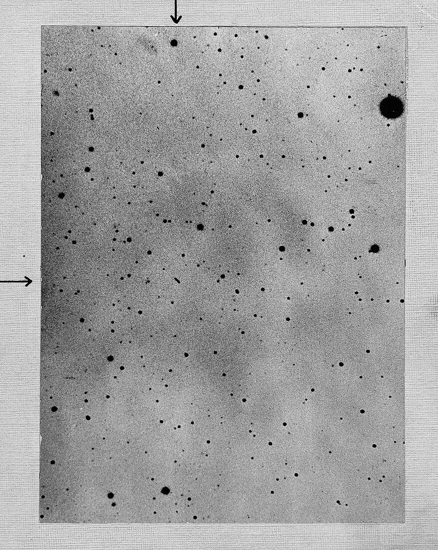 Track of the asteroid Sappho,1892