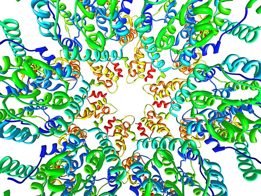 HIV-1 capsid in intact virus particle