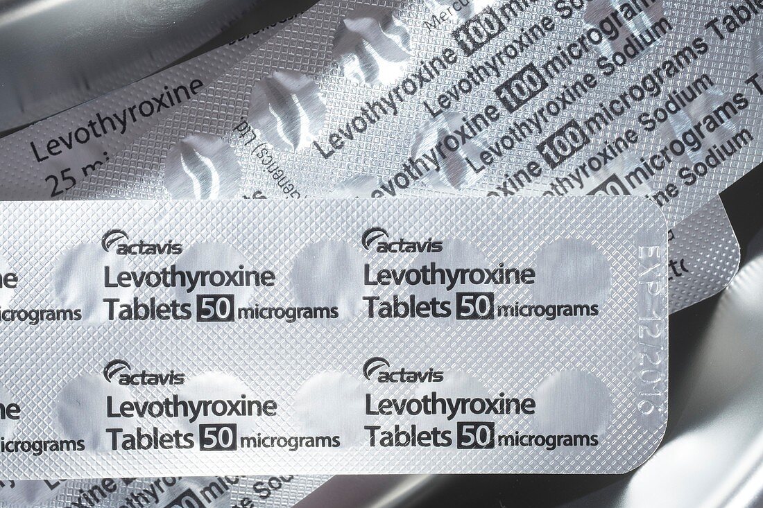 Levothyroxine thyroid hormone drug
