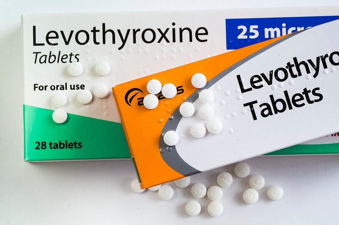 Levothyroxine thyroid hormone drug