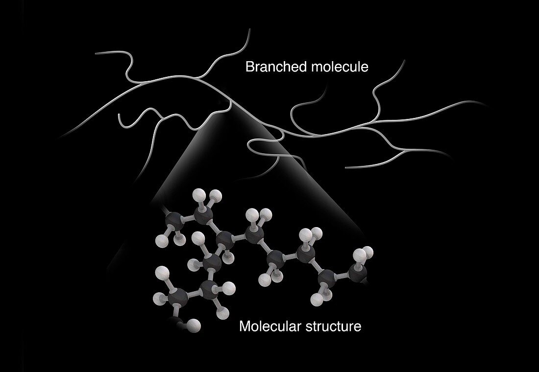 Branched molecule,illustration