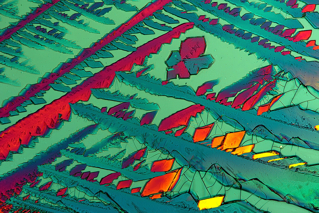 Copper sulphate,light micrograph