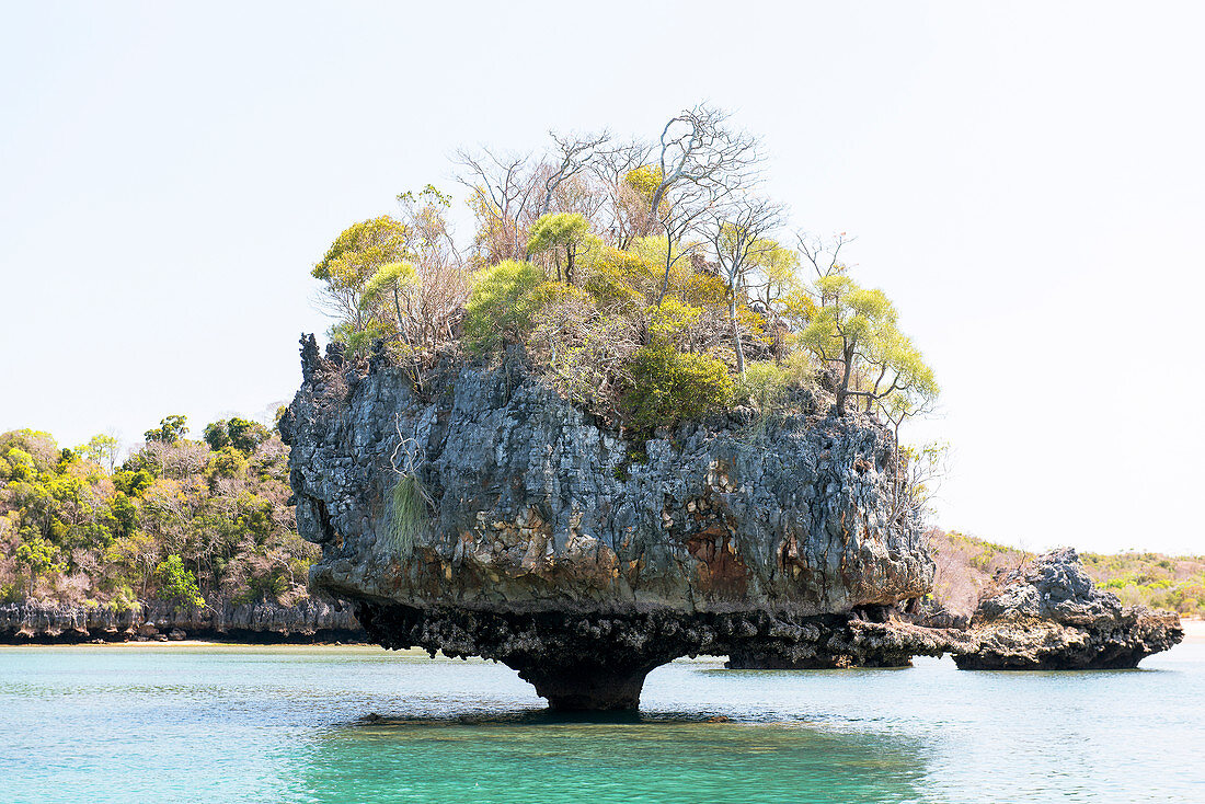 Eroded island and mangroves