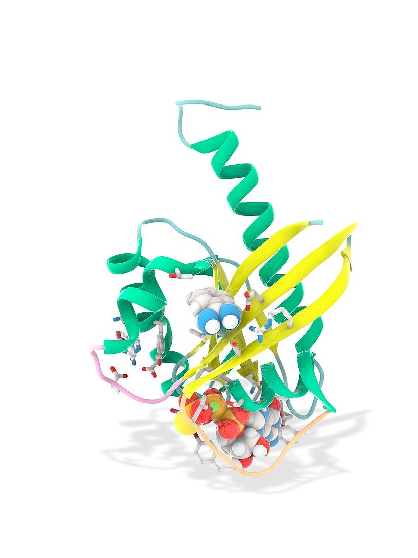 K-Ras benzamidine and GTP complex