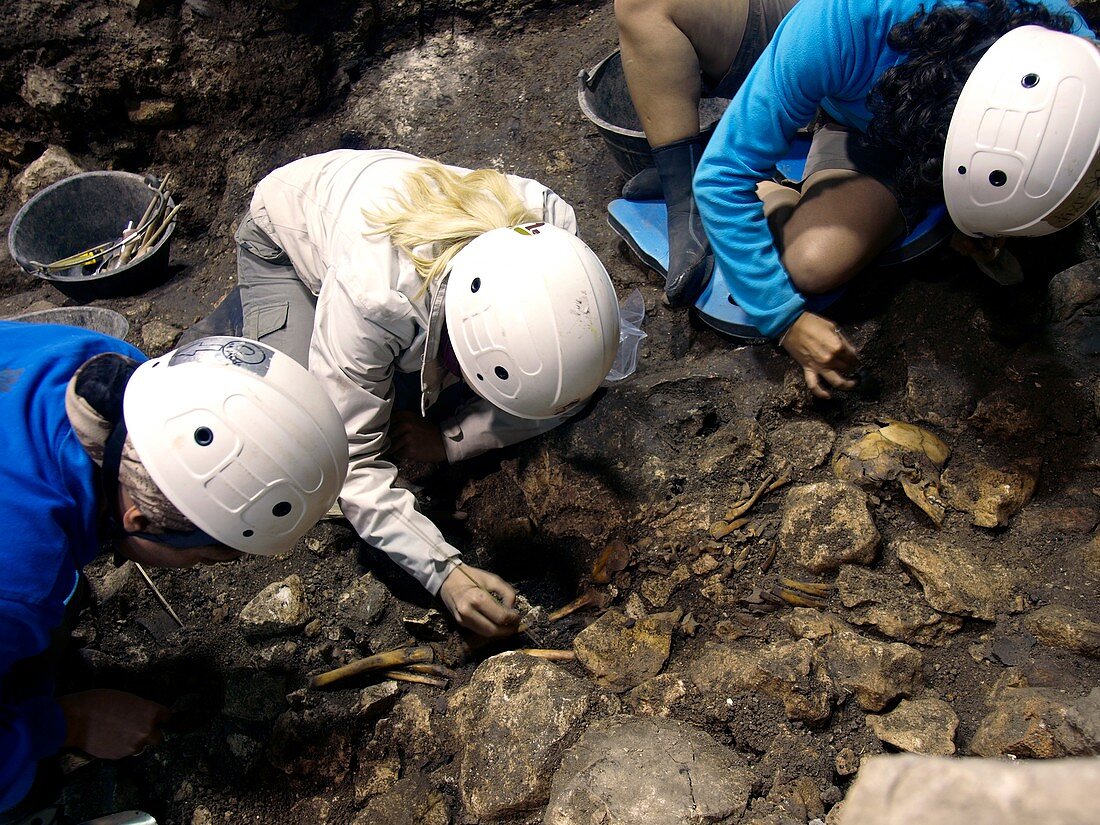Atapuerca fossil excavation,Cueva Mayor
