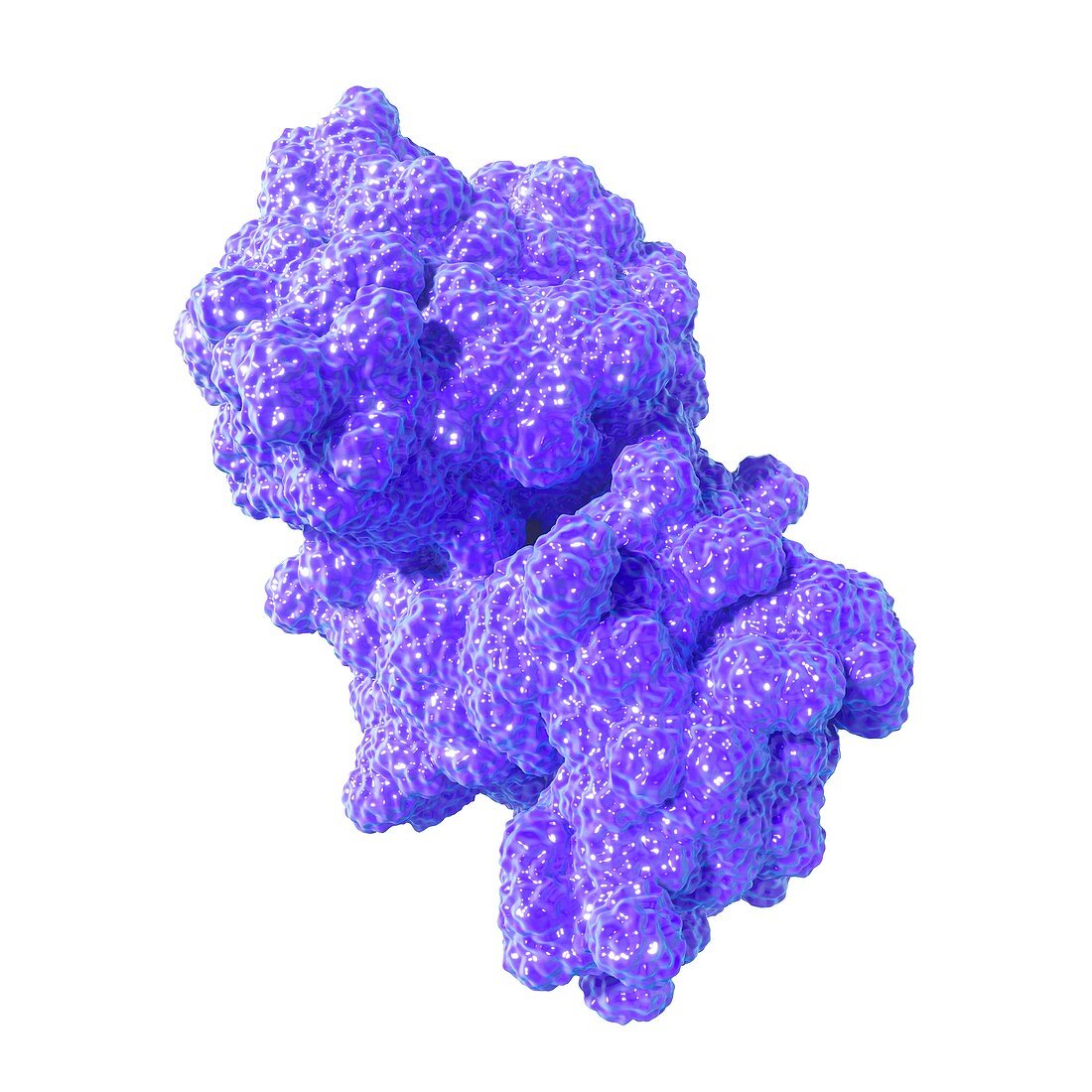 PCSK9 enzyme molecule,illustration