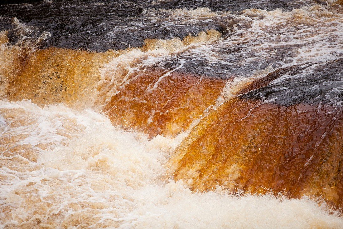 Aysgarth Falls at Aysgarth