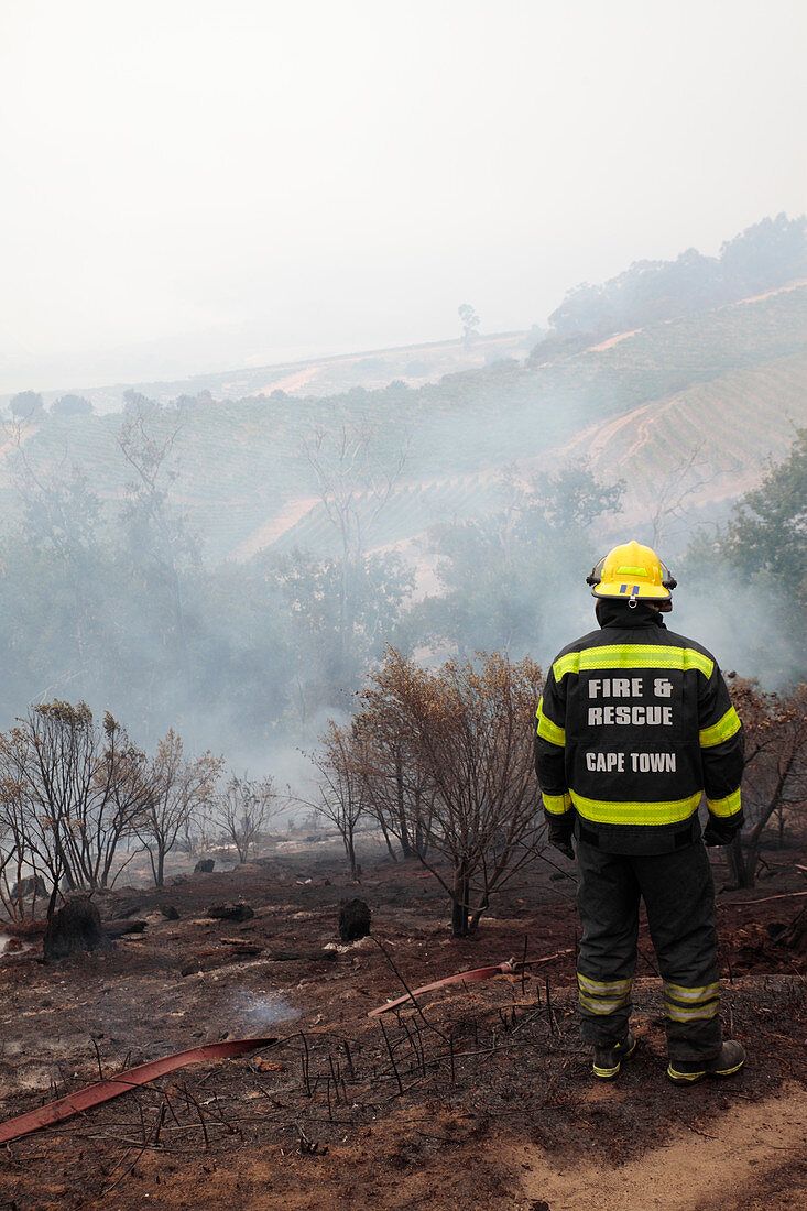 Firefighter in smouldering scrubland