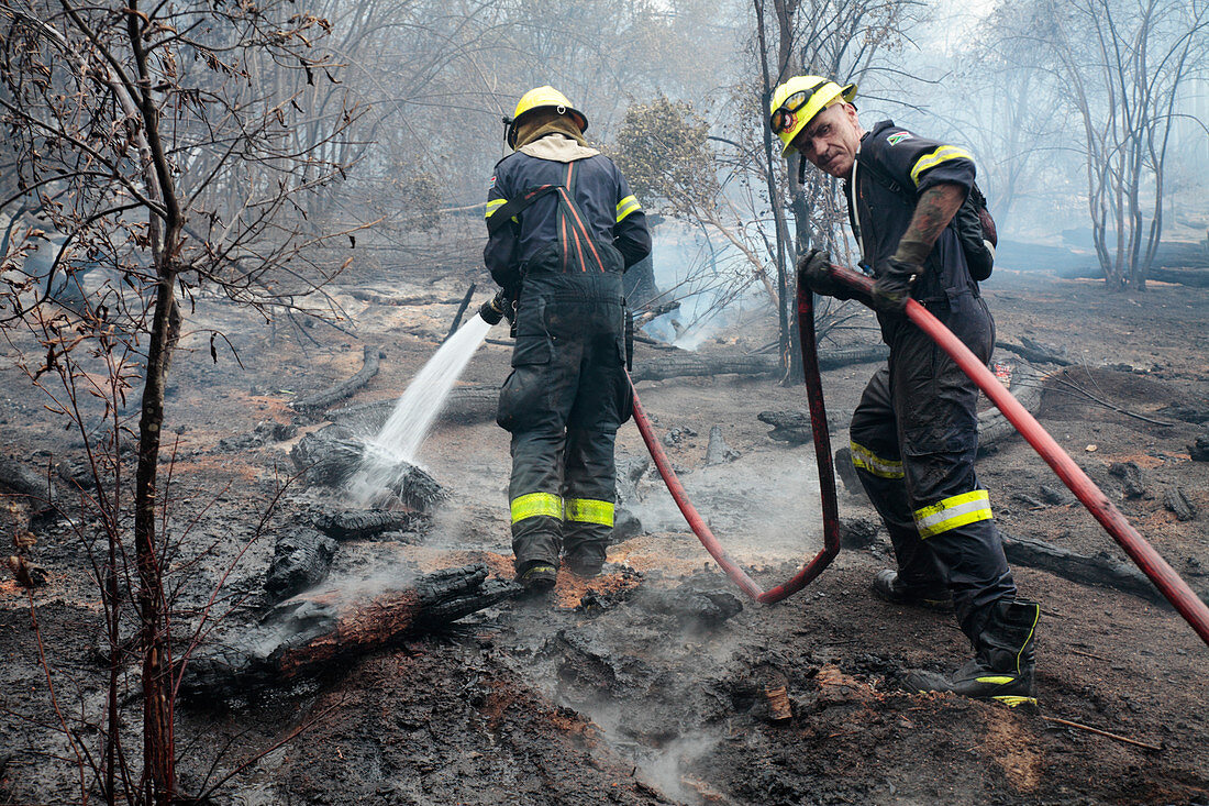 Firefighters tackling wildfire