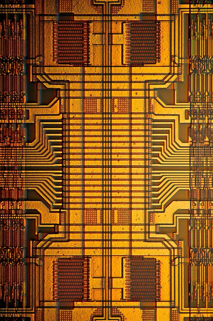 Computer RAM module,light micrograph