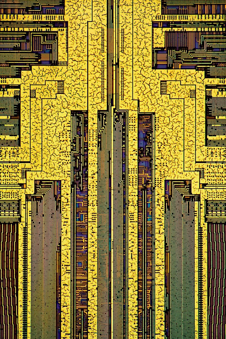 Computer RAM module,light micrograph