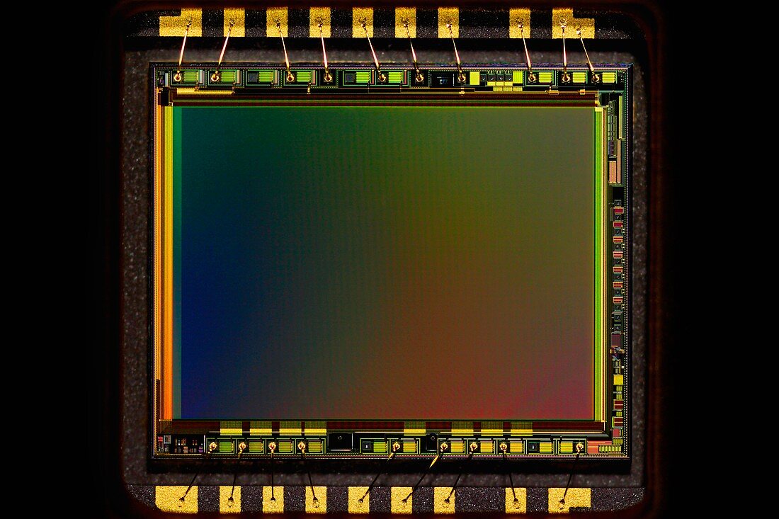 CCD camera sensor,light micrograph