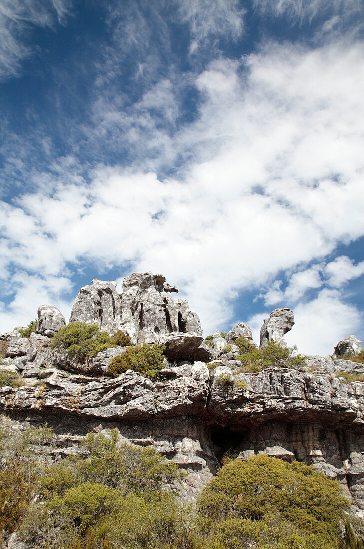 Table Mountain sandstone,South Africa