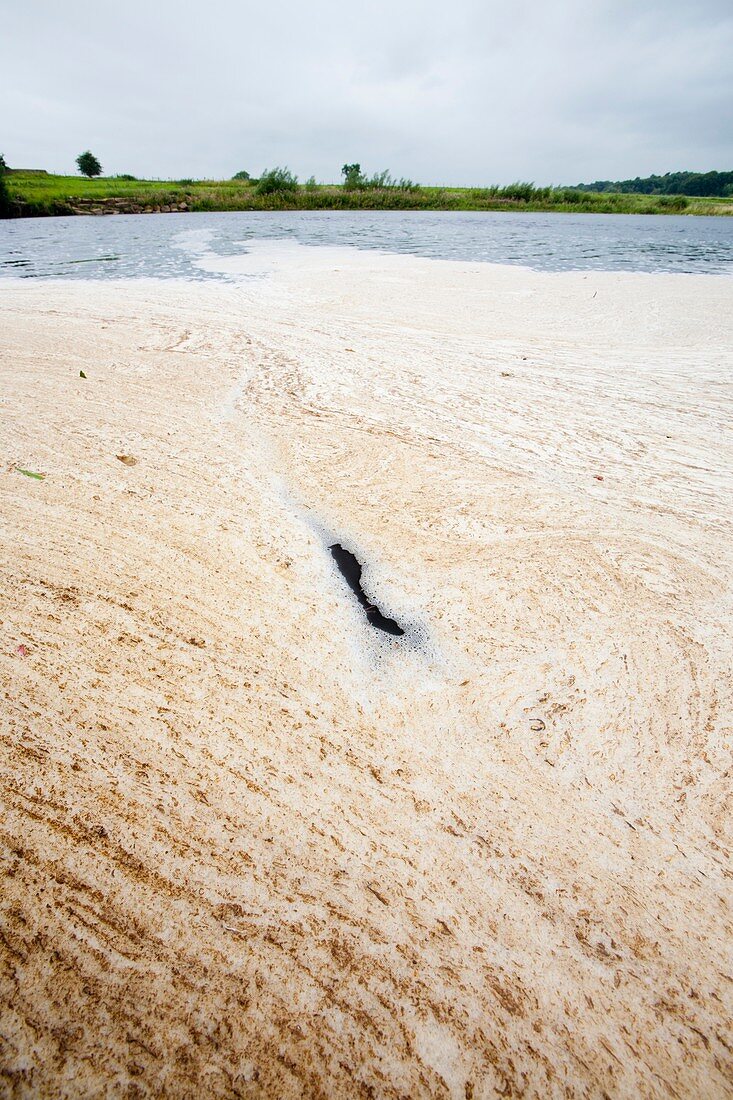 Scum floating on the River Ribble