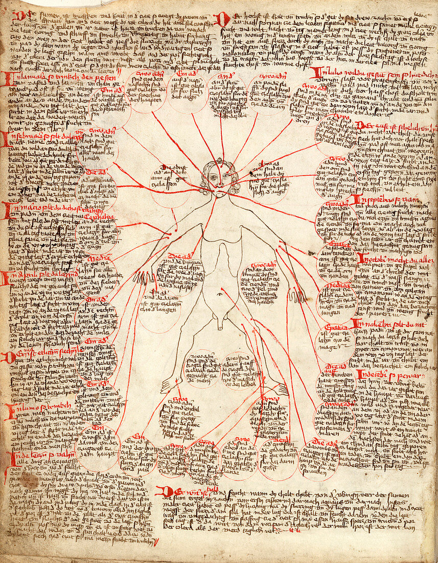 Allegorical medical man,15th century