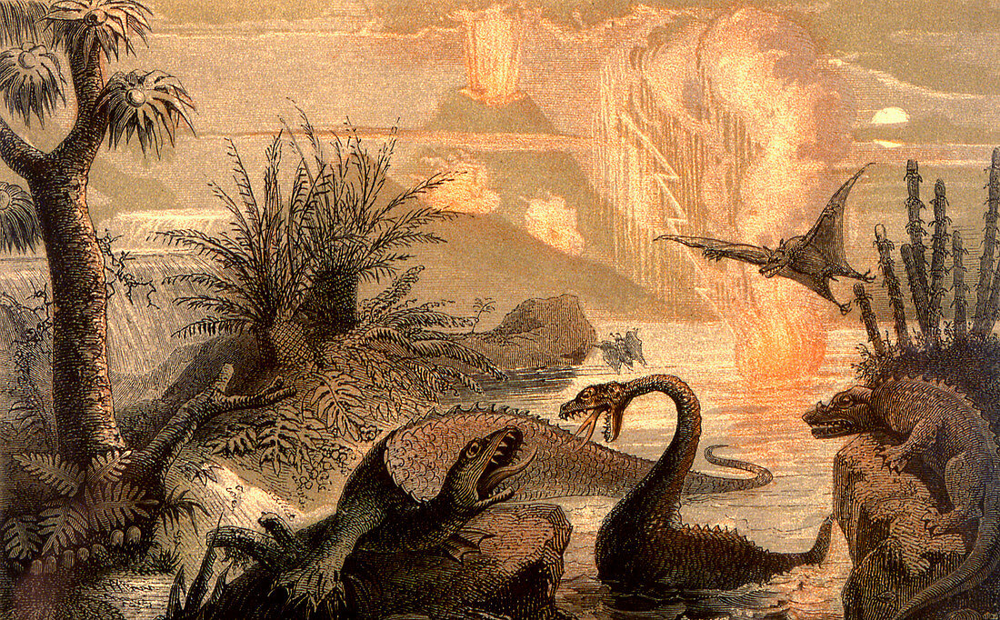 Prehistoric world,19th C illustration