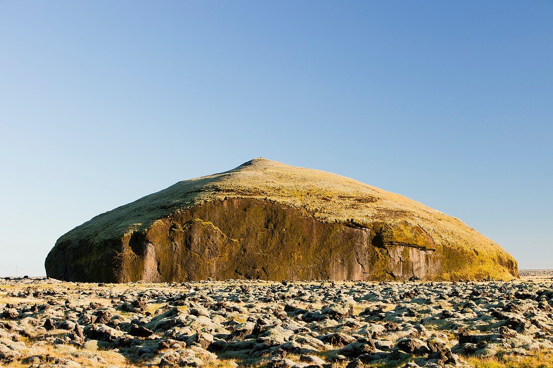 Moss covered lava flow,Iceland