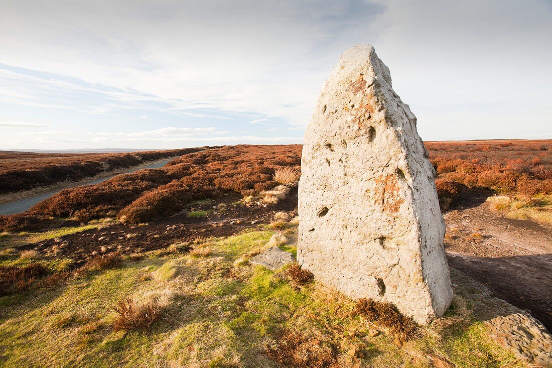 Ancient standing stone,Danby Moor,UK