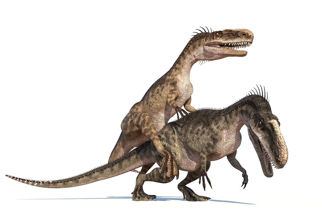Monolophosaurus dinosaurs mating