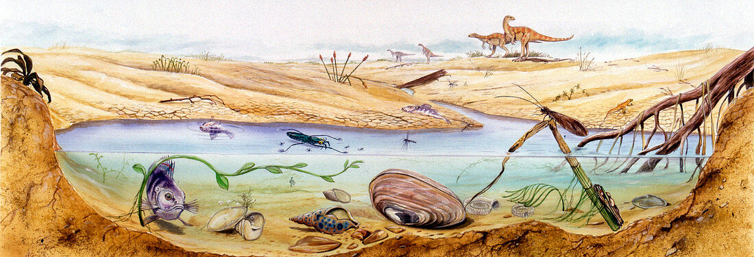 Prehistoric watertight ecosystem