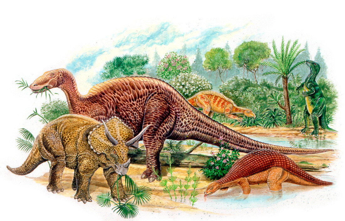 Cretaceous herbivorous dinosaurs