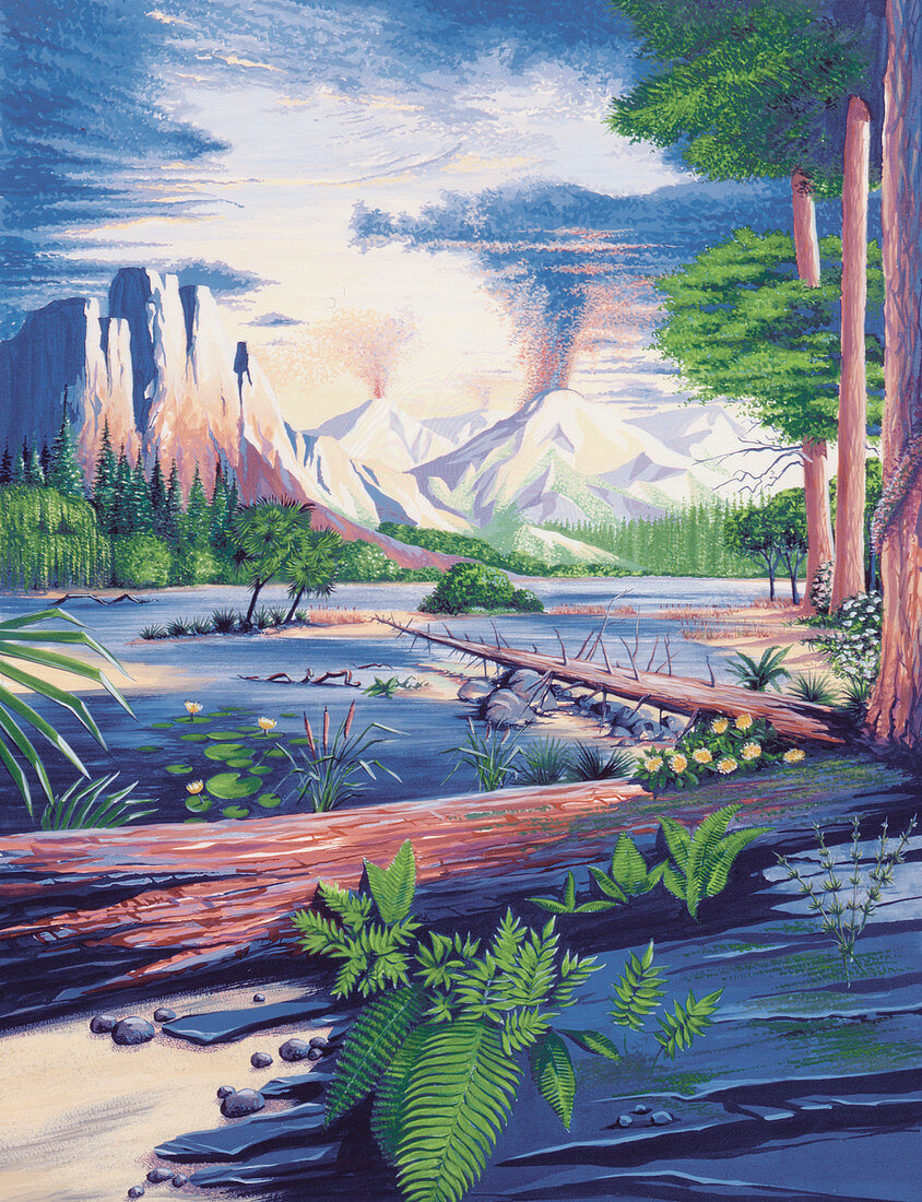Mesozoic landscape,illustration