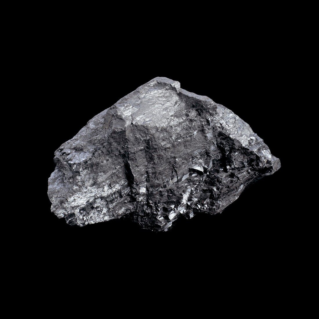 Sample of coal