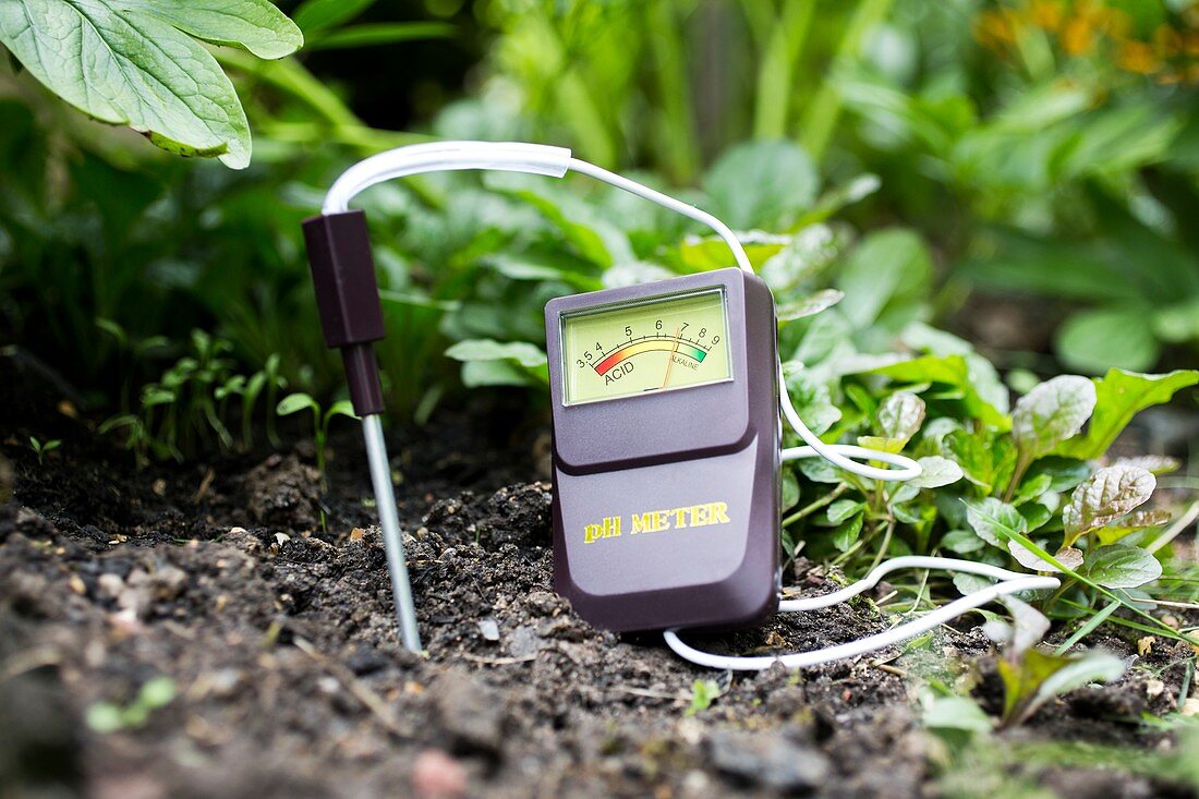 Soil pH meter